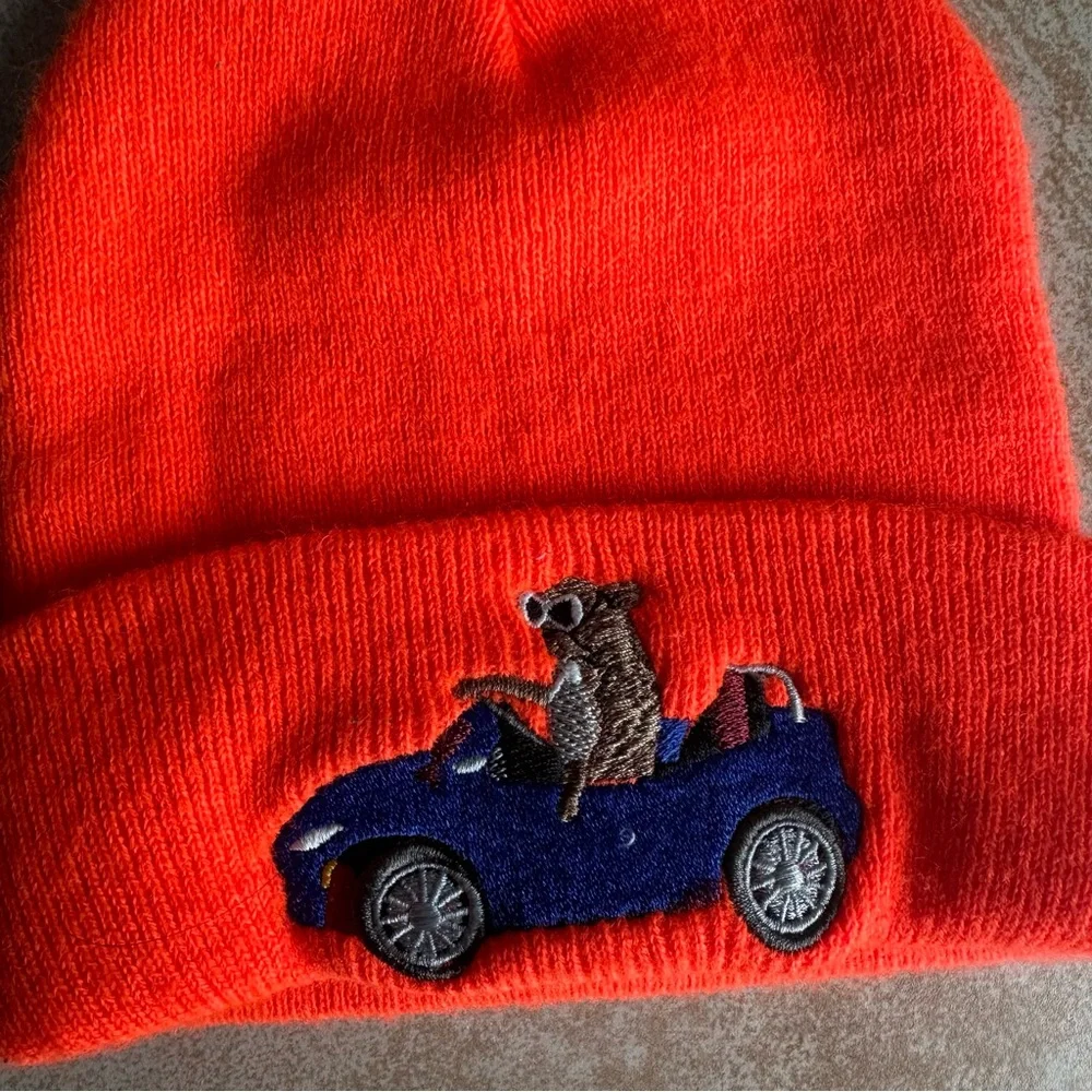 Orange Kids Beanie with frenchie driving Car